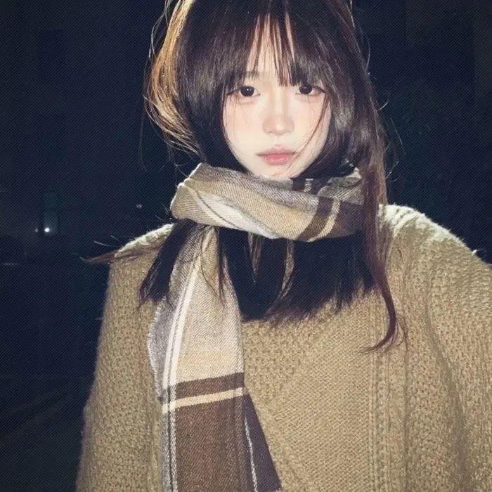 科搜研之女2022